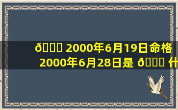 💐 2000年6月19日命格（2000年6月28日是 🍁 什么命）